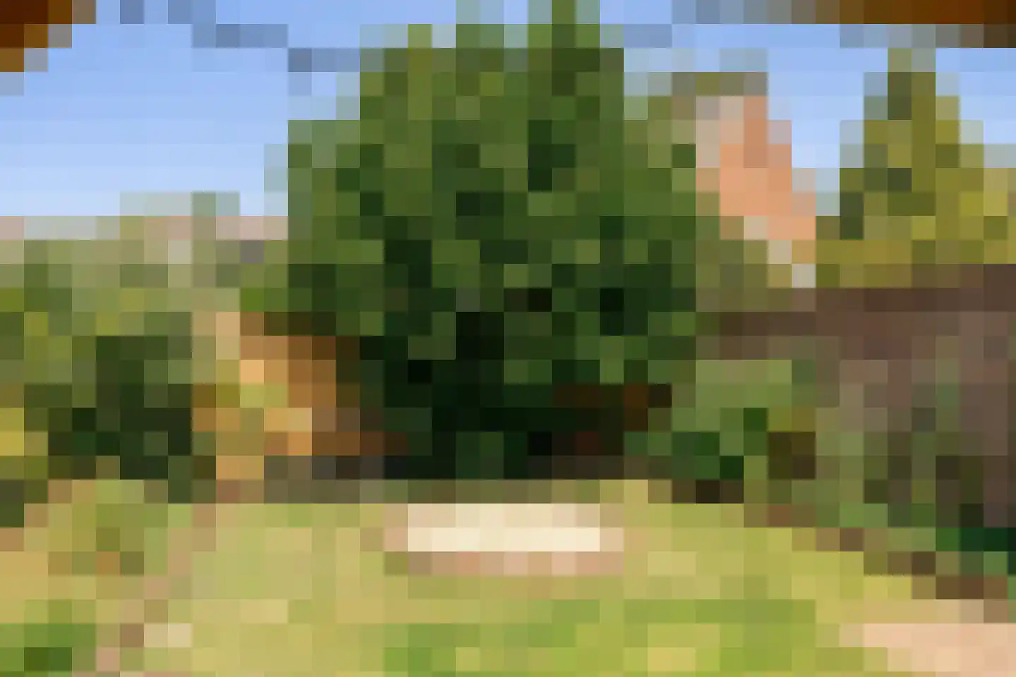 Goossen de Witstraat 17 Laren thumbnail 34