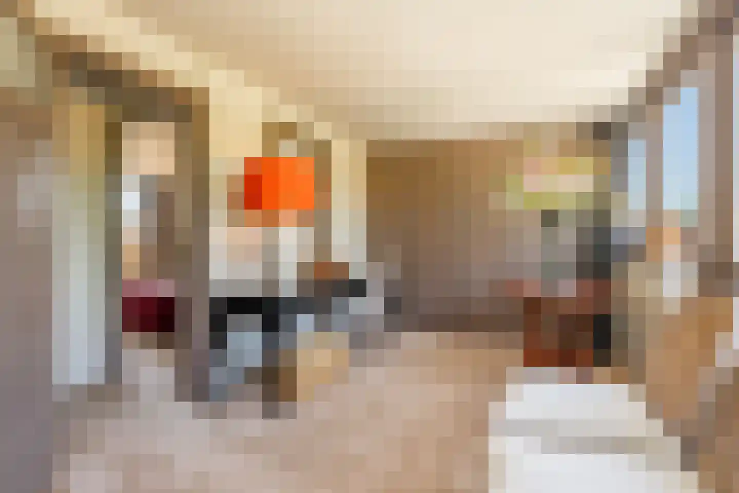 Goossen de Witstraat 17 Laren thumbnail 37