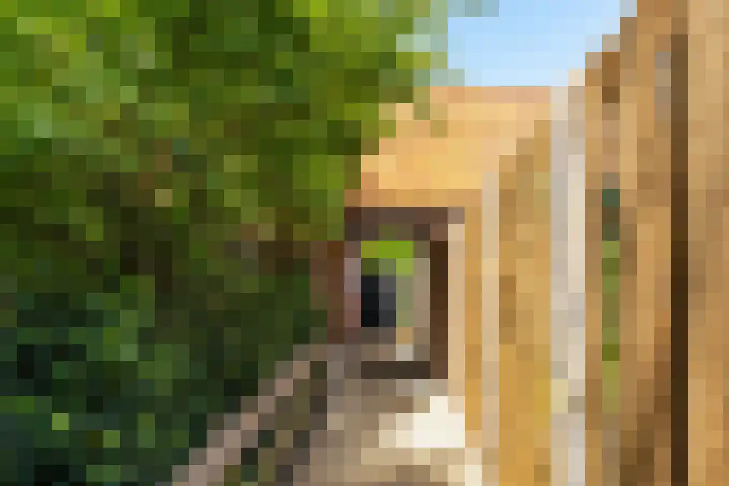 Goossen de Witstraat 17 Laren thumbnail 4