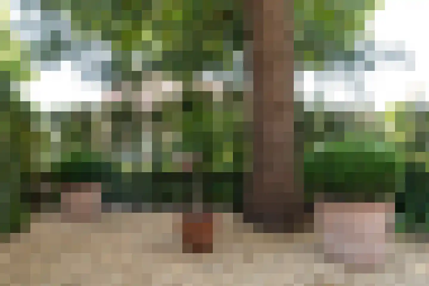 Goossen de Witstraat 17 Laren thumbnail 47