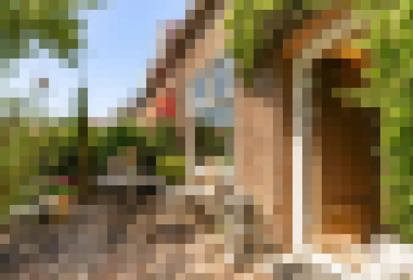 Goossen de Witstraat 17 Laren thumbnail 5