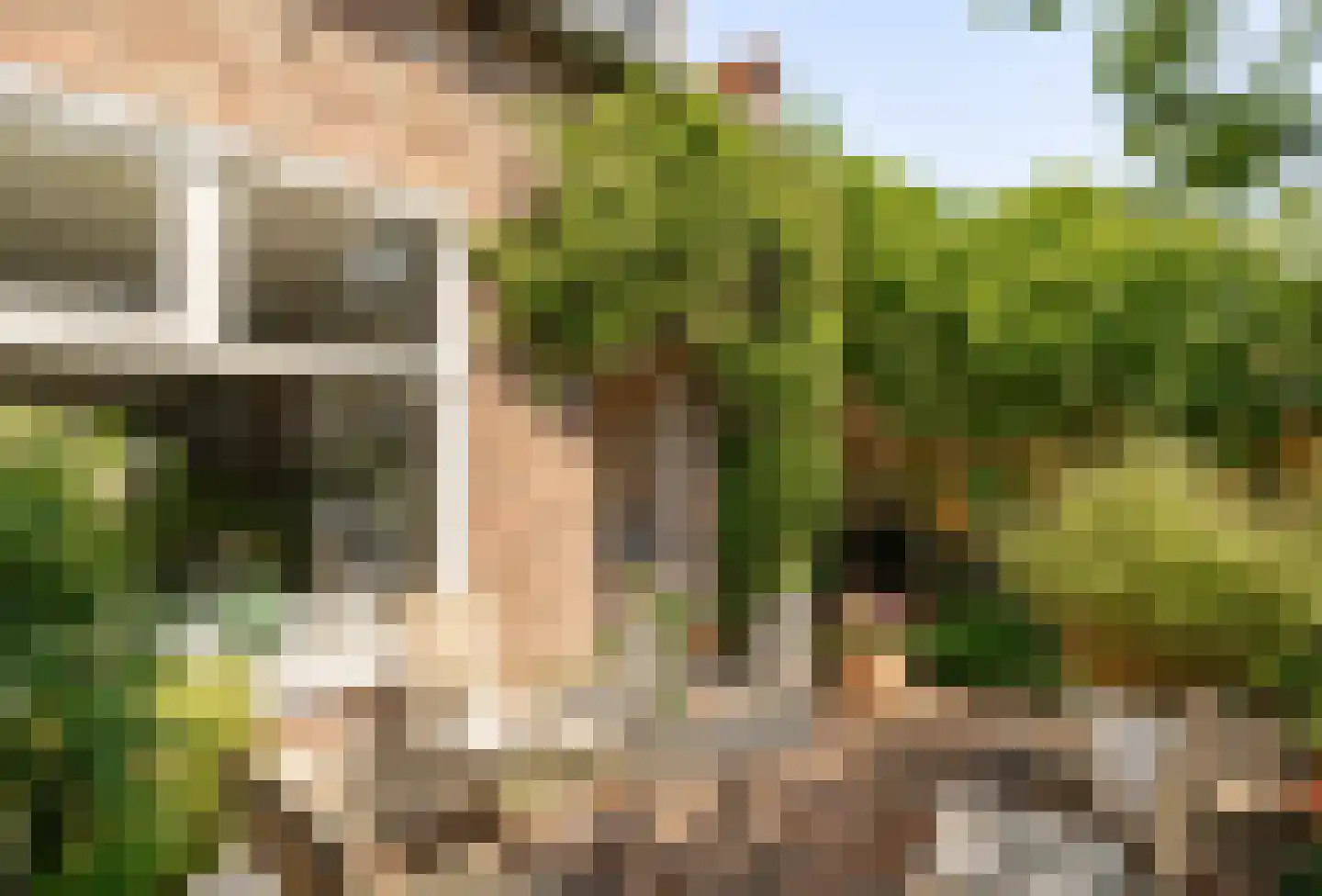 Goossen de Witstraat 17 Laren thumbnail 6