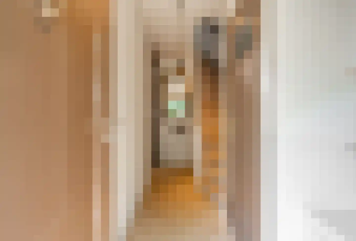 Goossen de Witstraat 17 Laren thumbnail 8