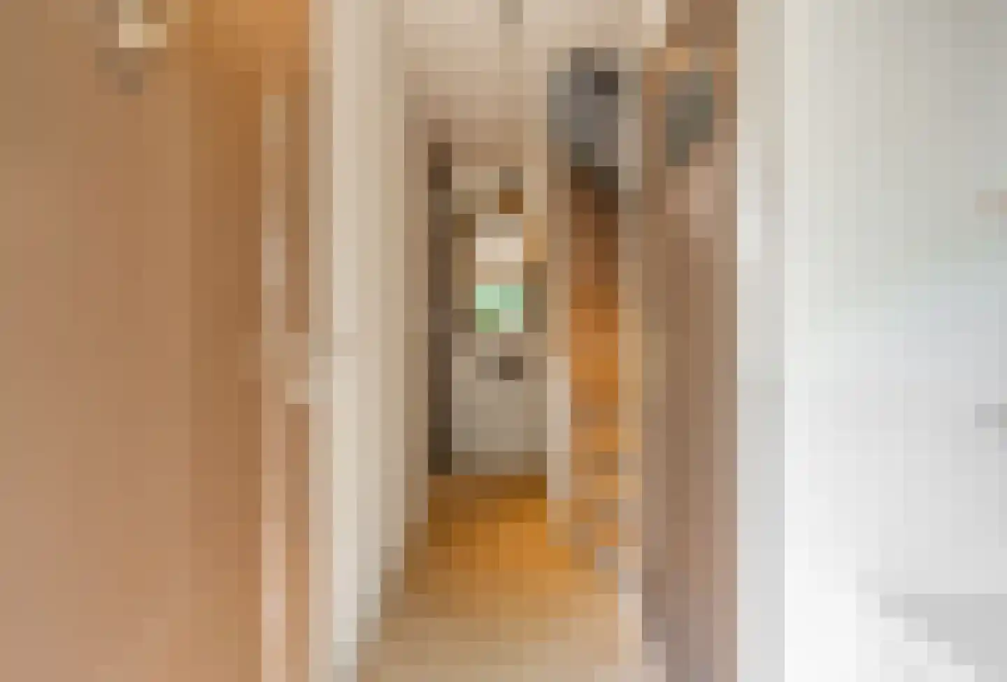 Goossen de Witstraat 17 Laren thumbnail 8