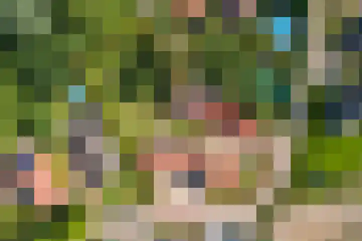 Goossen Janssenstraat 21 in Ophemert