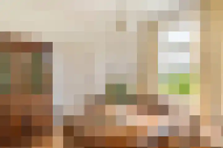 Goossen Janssenstraat 21 Ophemert thumbnail 10