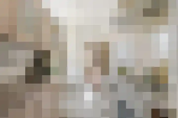 Goossen Janssenstraat 21 Ophemert thumbnail 11