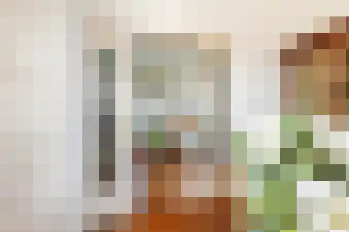 Goossen Janssenstraat 21 Ophemert thumbnail 4