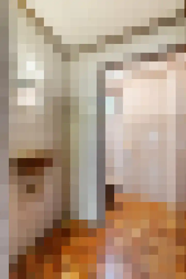 Goossen Janssenstraat 21 Ophemert thumbnail 51