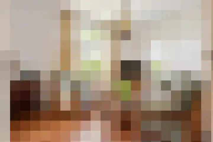Goossen Janssenstraat 21 Ophemert thumbnail 6