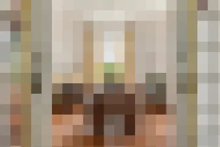 Goossen Janssenstraat 21 Ophemert thumbnail 8
