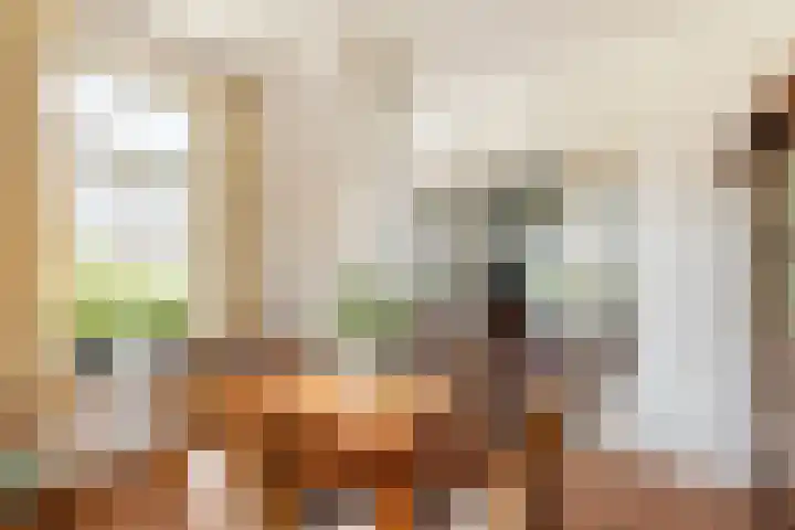 Goossen Janssenstraat 21 Ophemert thumbnail 9