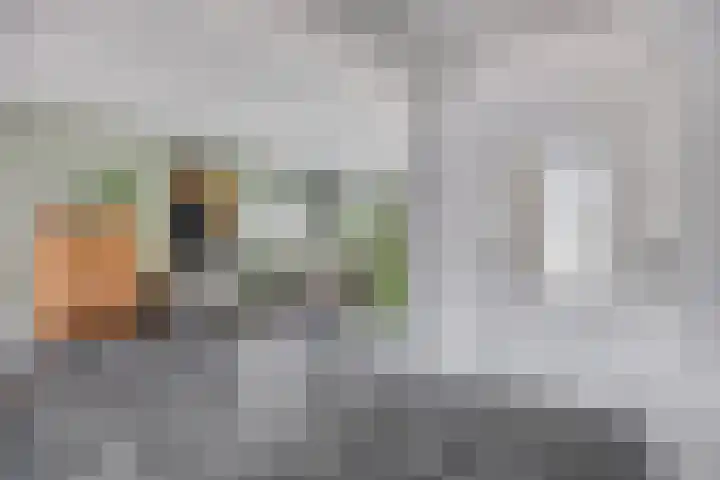 Goossen Janssenstraat 28 Ophemert thumbnail 10