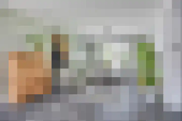Goossen Janssenstraat 28 Ophemert thumbnail 11