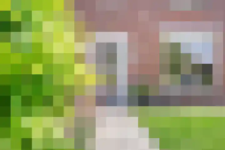 Goossen Janssenstraat 28 Ophemert thumbnail 5