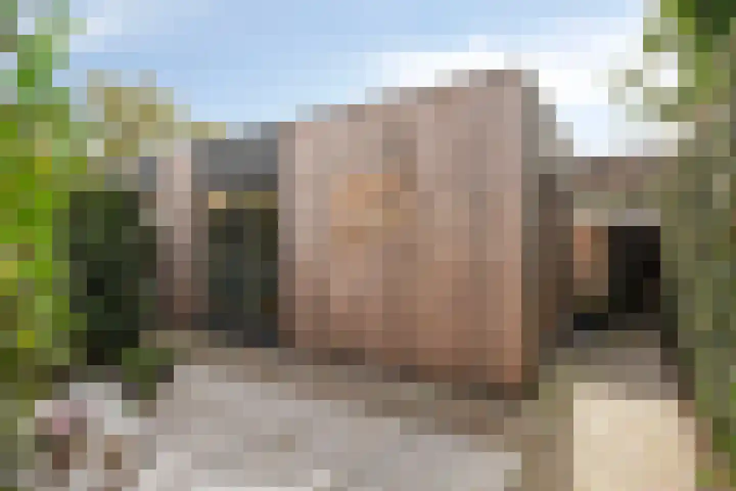 Goossensstraat 4 Aarle-Rixtel thumbnail 33