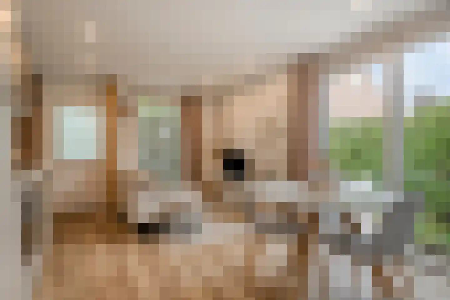 Goossensstraat 4 Aarle-Rixtel thumbnail 38
