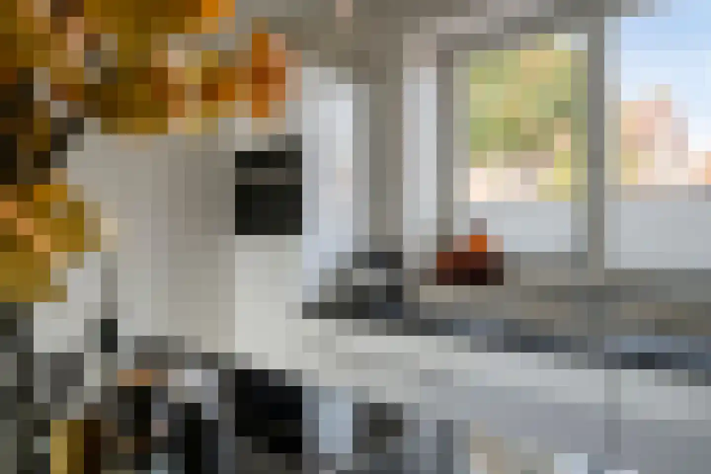 Goossensstraat 4 Aarle-Rixtel thumbnail 8
