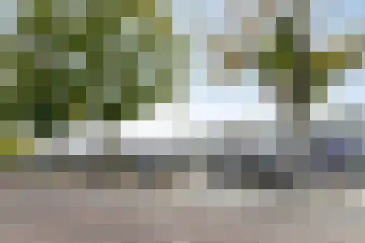 Goossensstraat 5 Aarle-Rixtel thumbnail 32