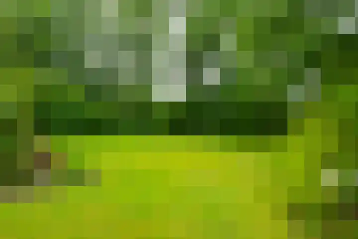 Goossensweg 2 Winterswijk Meddo thumbnail 10