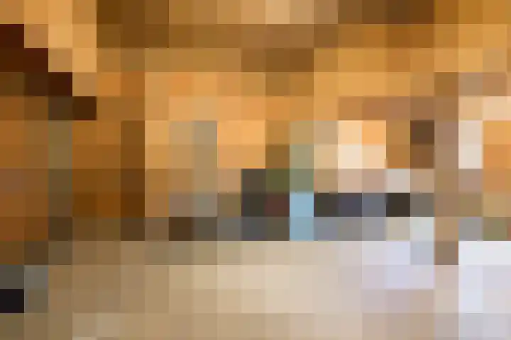 Goossensweg 2 Winterswijk Meddo thumbnail 101