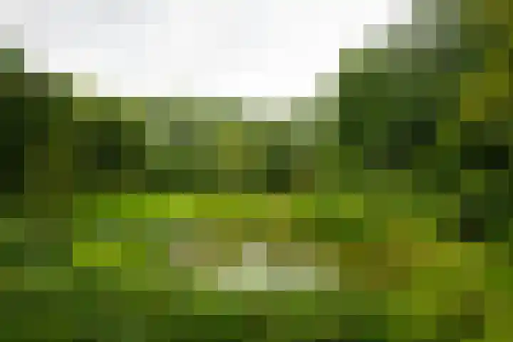 Goossensweg 2 Winterswijk Meddo thumbnail 11