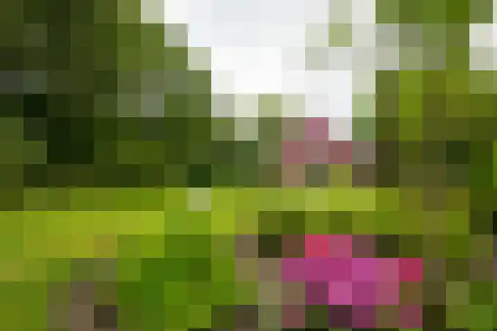 Goossensweg 2 Winterswijk Meddo thumbnail 12