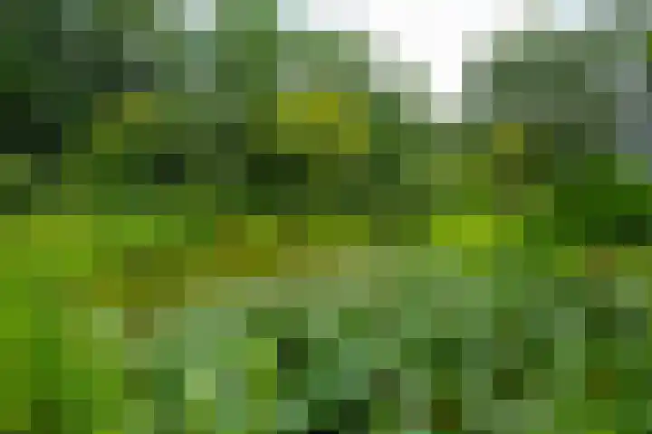 Goossensweg 2 Winterswijk Meddo thumbnail 15