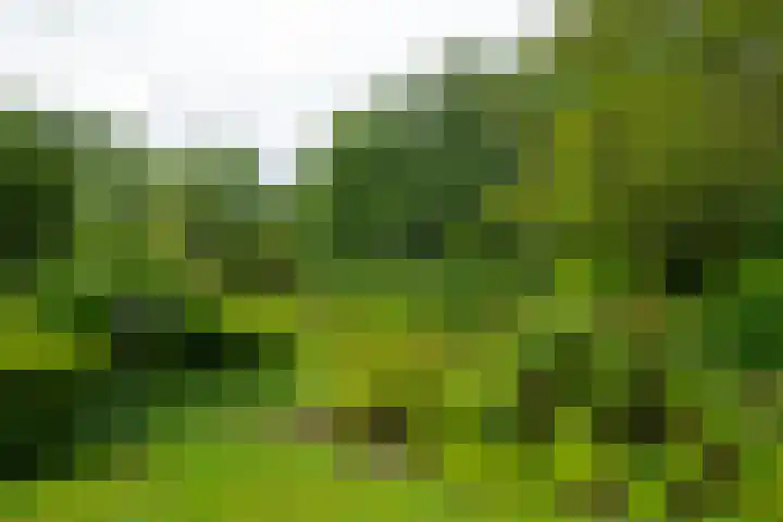 Goossensweg 2 Winterswijk Meddo thumbnail 16
