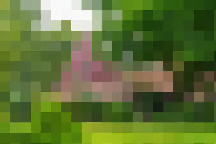 Goossensweg 2 Winterswijk Meddo thumbnail 18