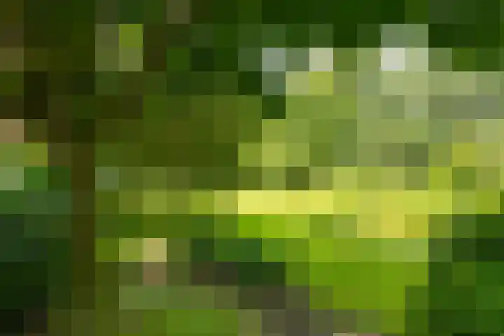 Goossensweg 2 Winterswijk Meddo thumbnail 19