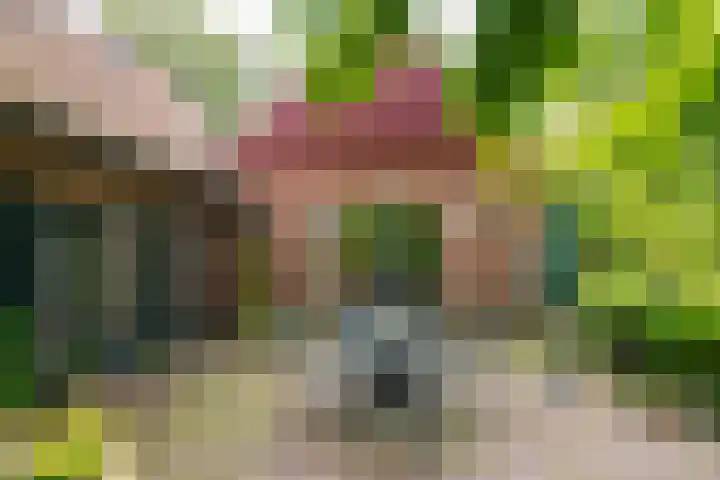 Goossensweg 2 Winterswijk Meddo thumbnail 20