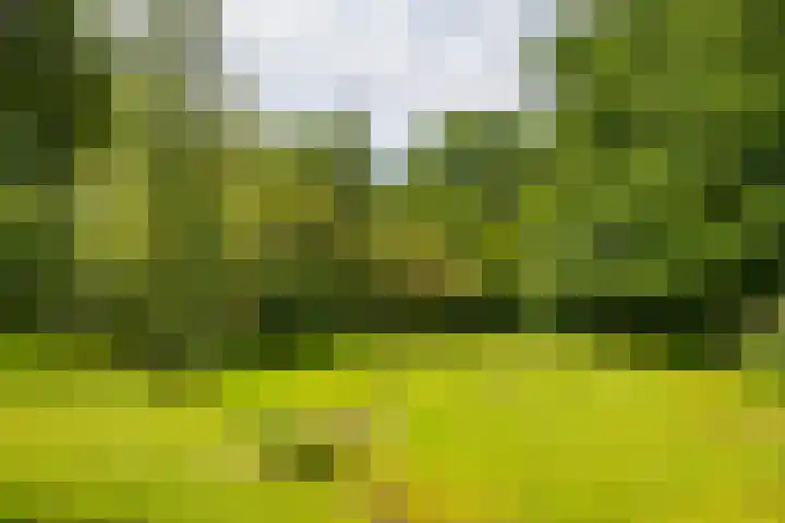 Goossensweg 2 Winterswijk Meddo thumbnail 21