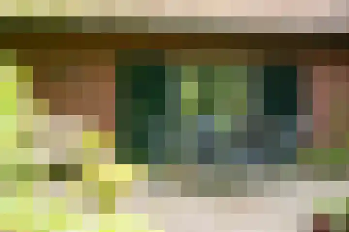 Goossensweg 2 Winterswijk Meddo thumbnail 22