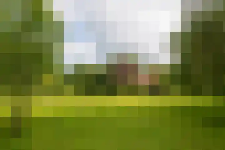 Goossensweg 2 Winterswijk Meddo thumbnail 23