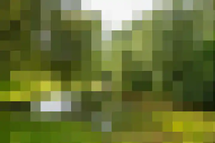 Goossensweg 2 Winterswijk Meddo thumbnail 24