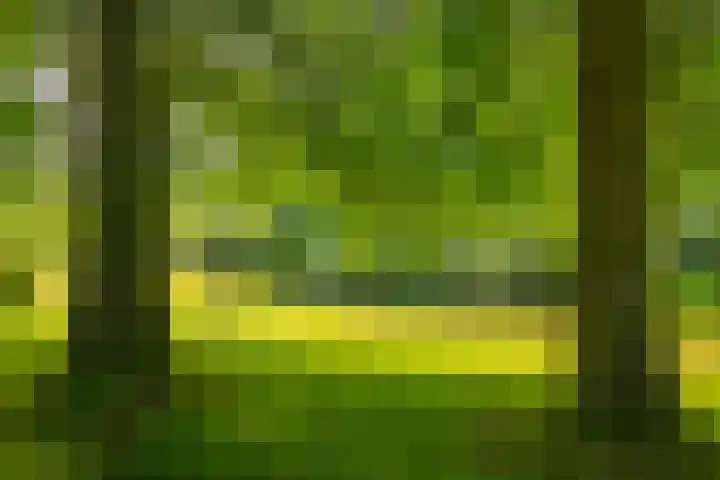 Goossensweg 2 Winterswijk Meddo thumbnail 25
