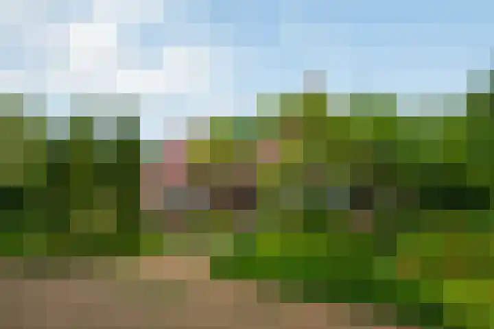 Goossensweg 2 Winterswijk Meddo thumbnail 27