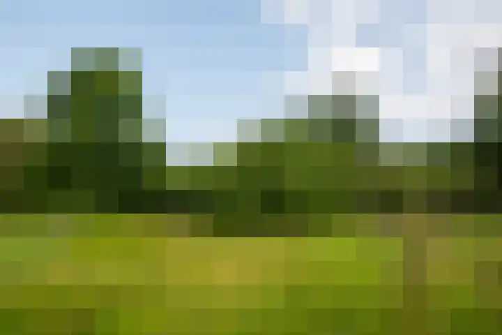 Goossensweg 2 Winterswijk Meddo thumbnail 28