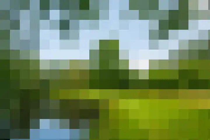 Goossensweg 2 Winterswijk Meddo thumbnail 29