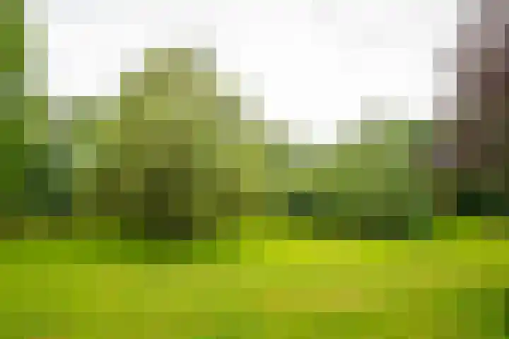 Goossensweg 2 Winterswijk Meddo thumbnail 30