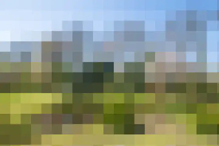 Goossensweg 2 Winterswijk Meddo thumbnail 34