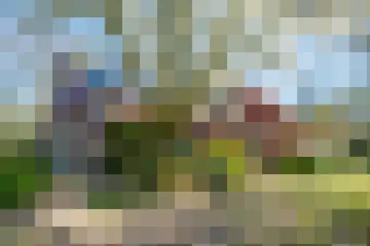 Goossensweg 2 Winterswijk Meddo thumbnail 35