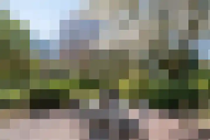 Goossensweg 2 Winterswijk Meddo thumbnail 38