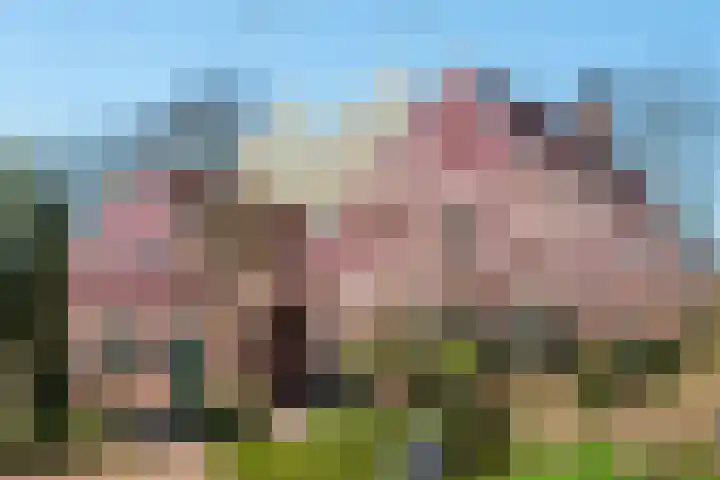 Goossensweg 2 Winterswijk Meddo thumbnail 39