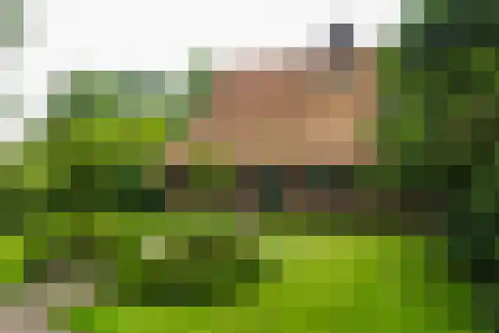 Goossensweg 2 Winterswijk Meddo thumbnail 4