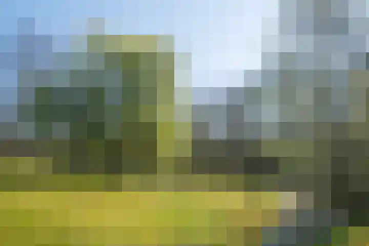 Goossensweg 2 Winterswijk Meddo thumbnail 40