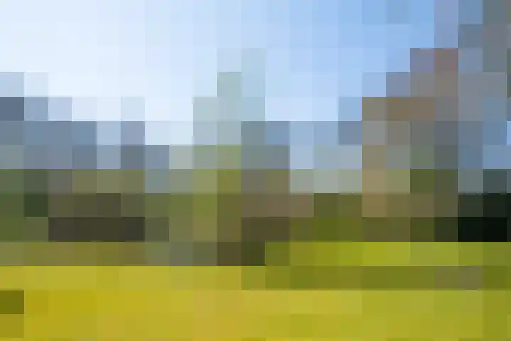 Goossensweg 2 Winterswijk Meddo thumbnail 41