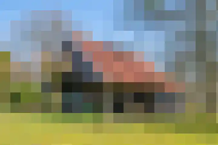 Goossensweg 2 Winterswijk Meddo thumbnail 42