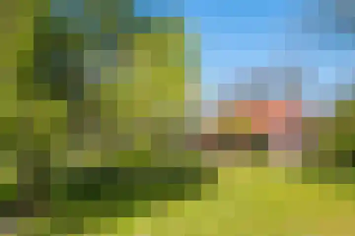 Goossensweg 2 Winterswijk Meddo thumbnail 44